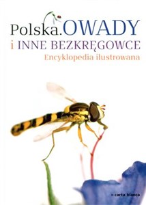 Picture of Polska Owady i inne bezkręgowce Encyklopedia ilustrowana