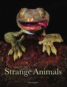 Picture of Strange Animals