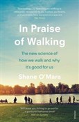 In Praise ... - Shane Omara -  books in polish 