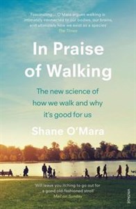 Picture of In Praise of Walking