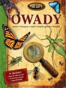 Picture of Owady