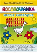 Kolorowank... - Beata Guzowska, Marta Ziembikiewicz -  Książka z wysyłką do UK