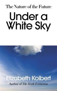 Picture of Under a White Sky