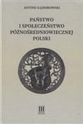 Państwo i ... - Antoni Gąsiorowski -  Polish Bookstore 