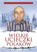 polish book : Wielkie uc... - Przemysław Słowiński, Teresa Kowalik