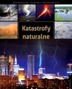 Katastrofy... - Sławomir Kobojek -  books from Poland