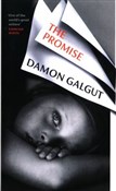 Polska książka : The Promis... - Damon Galgut