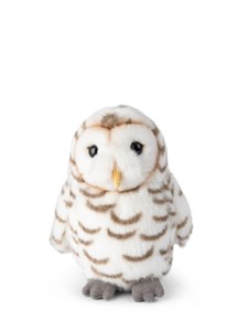 Obrazek Sowa śnieżna 15cm WWF