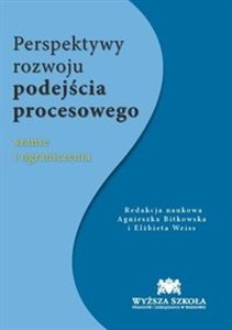Obrazek Perspektywy rozwoju podejścia procesowego Szanse i ograniczenia