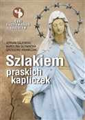 polish book : Szlakiem p... - Adrian Gajewski, Karolina Głowacka, Grzegorz Krawczak