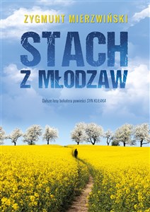 Picture of Stach z Młodzaw