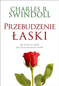 Obrazek Przebudzenie łaski. Od wiary w łaskę do życia nią na co dzień