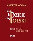 polish book : Dzieje Pol... - Andrzej Nowak