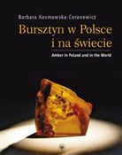 polish book : Bursztyn w... - Barbara Kosmowska-Ceranowicz