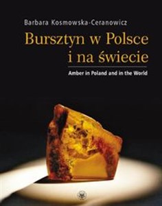 Obrazek Bursztyn w Polsce i na świecie Amber in Poland and in the World
