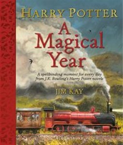 Obrazek Harry Potter A Magical Year