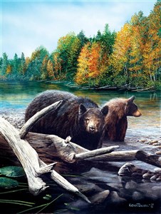 Picture of Puzzle 1000 Poranny spacer