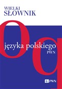 polish book : Wielki sło... - Opracowanie Zbiorowe