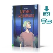 Książka : Geheimnis ... - Iris Faigle