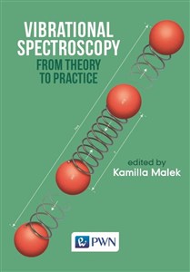 Picture of Vibrational Spectroscopy: From Theory to Applications