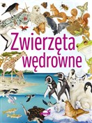 polish book : Zwierzęta ... - Opracowanie Zbiorowe