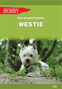Picture of Westie West highland white terrier