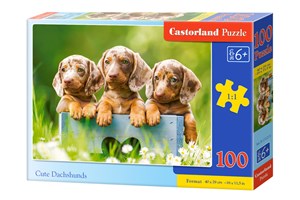 Obrazek Puzzle Cute Dachshunds 100 B-111213