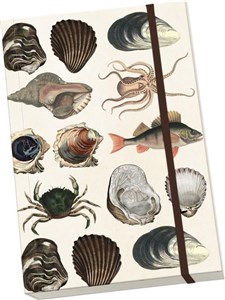 Picture of Notatnik ozdobny A5 STNOTE 88 Morze