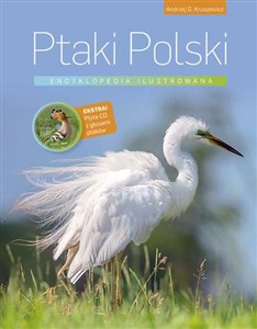 Obrazek Ptaki Polski Encyklopedia ilustrowana