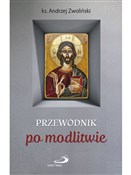 Przewodnik... - Andrzej Zwoliński -  books in polish 