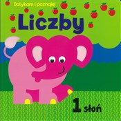 Liczby dot... - Opracowanie Zbiorowe -  books from Poland