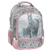 Polska książka : Plecak szk...