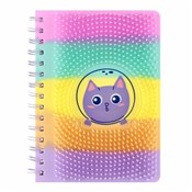 Zobacz : Kołonotes ...