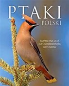 Ptaki Pols... - Dominik Marchowski -  books from Poland
