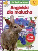 Angielski ... - Lieve Boumans -  foreign books in polish 
