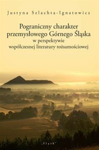 Picture of Pograniczny charakter przemysłowego Górnego Śląska w perspektywie współczesnej literatury tożsamościowej
