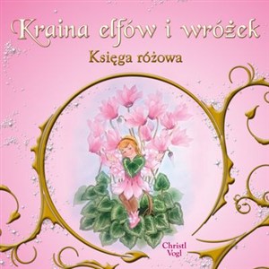 Picture of Kraina elfów i wróżek Księga różowa