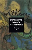 Dramaty To... - Stanisław Ignacy Witkiewicz - Ksiegarnia w UK