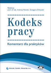 Picture of Kodeks pracy. Komentarz dla praktyków