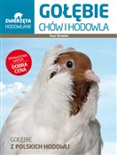 polish book : Gołębie Ch... - Ewa Strzelec