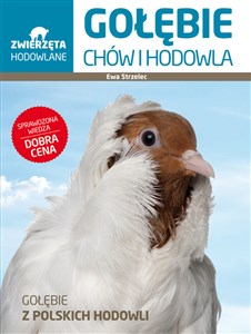 Picture of Gołębie Chów i hodowla