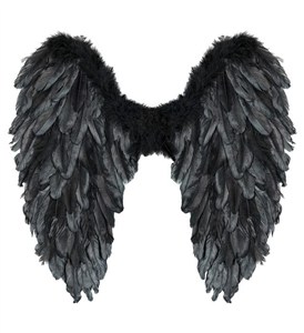 Picture of Czarne skrzydła naturalne pióra