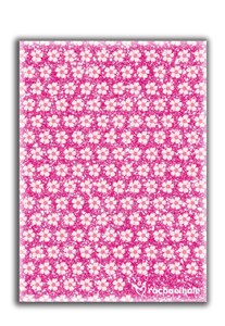 Picture of Błyszczący pamiętnik Rachael Hale