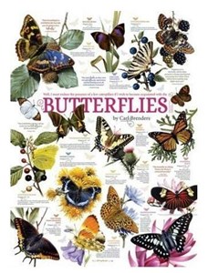 Obrazek Puzzle 1000 Motyle