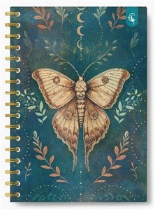 Picture of Kołonotatnik ozdobny B5/160K kratka