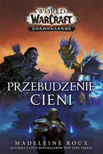 Picture of World of Warcraft Przebudzenie cieni