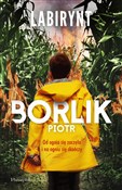 Labirynt - Piotr Borlik -  Książka z wysyłką do UK