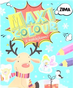 Obrazek Maxi Colour. Zima