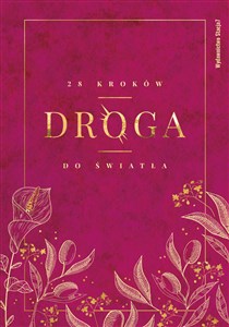 Picture of Droga. 28 kroków do Światła