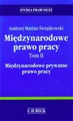 Międzynaro... - Andrzej Marian Świątkowski -  Polish Bookstore 